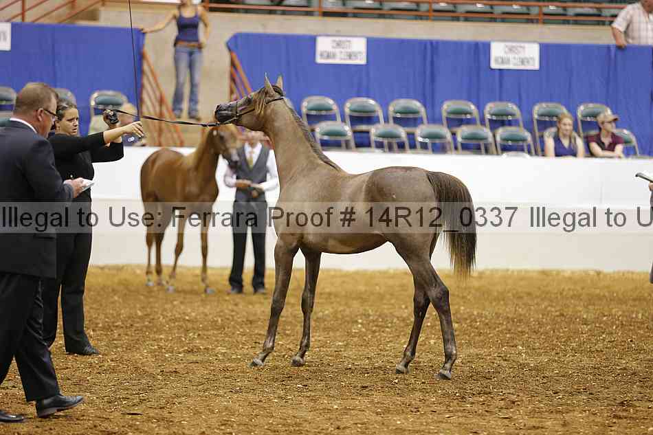 Proof 14r12_0337