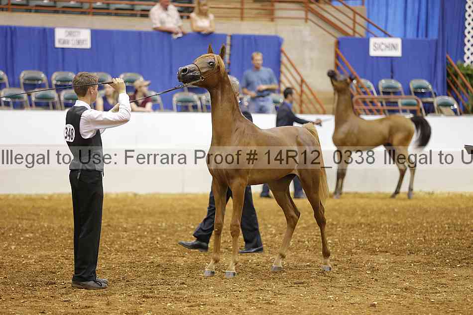Proof 14r12_0338
