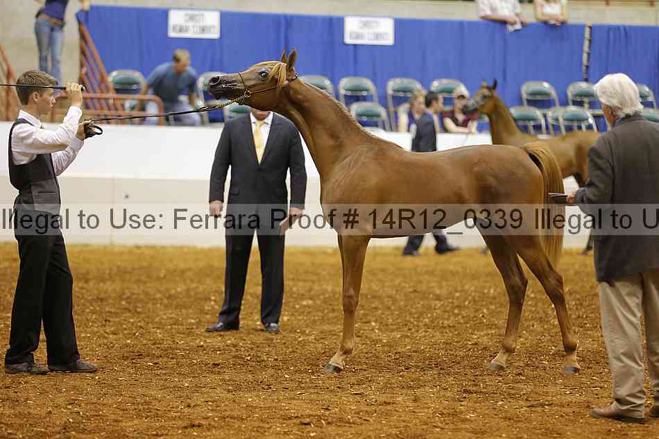Proof 14r12_0339