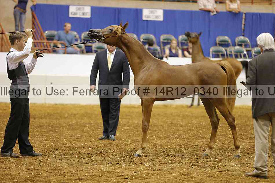 Proof 14r12_0340