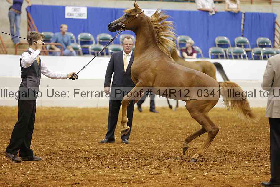 Proof 14r12_0341