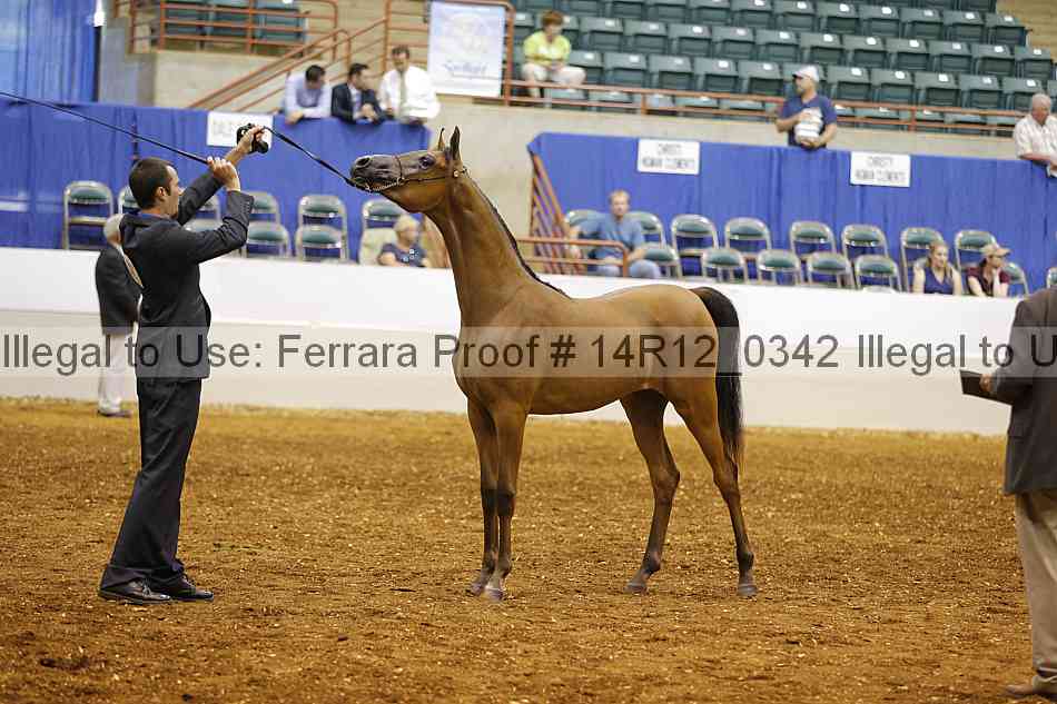 Proof 14r12_0342