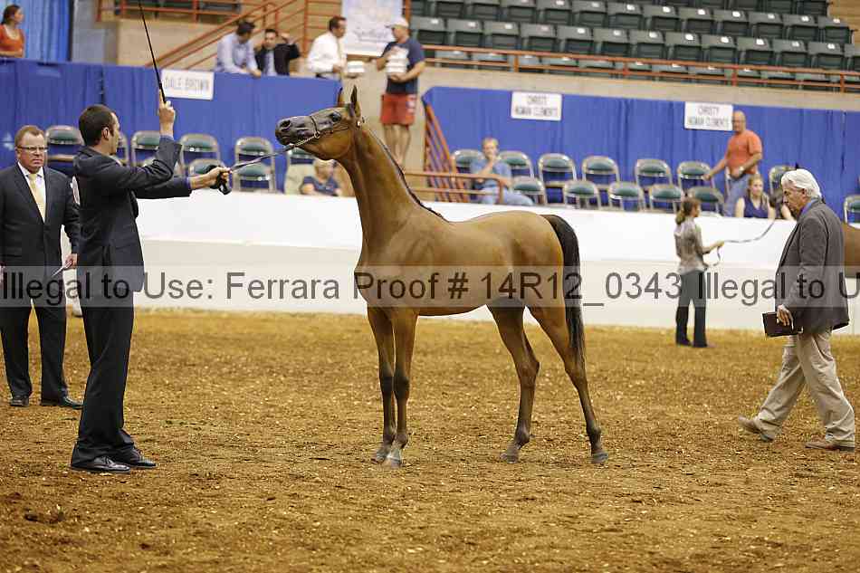 Proof 14r12_0343