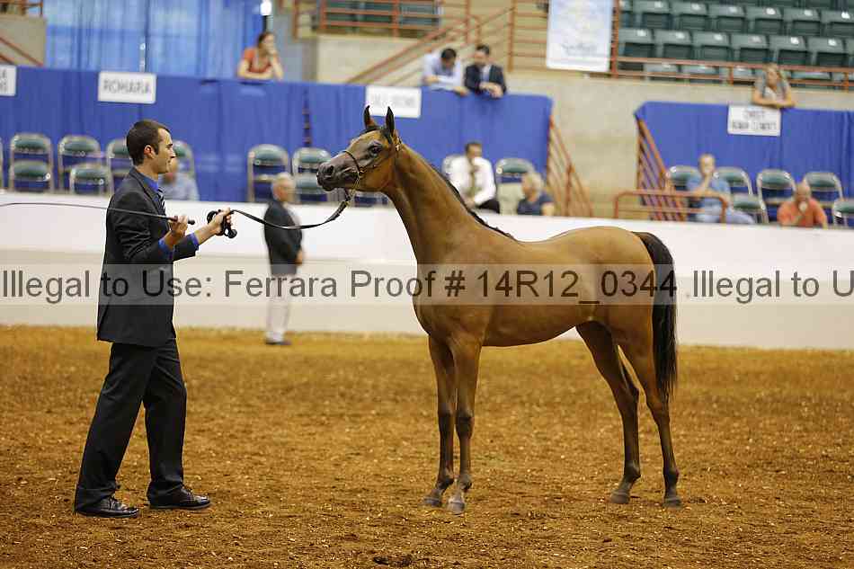 Proof 14r12_0344