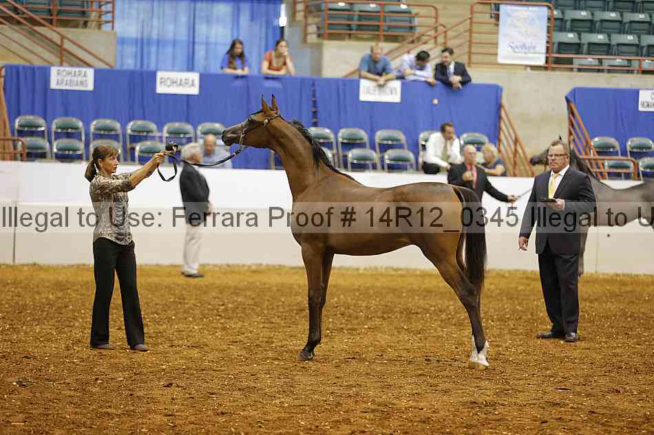 Proof 14r12_0345