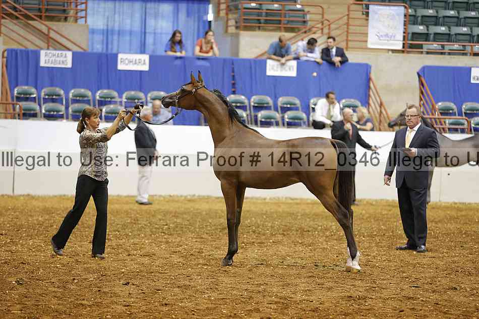 Proof 14r12_0346