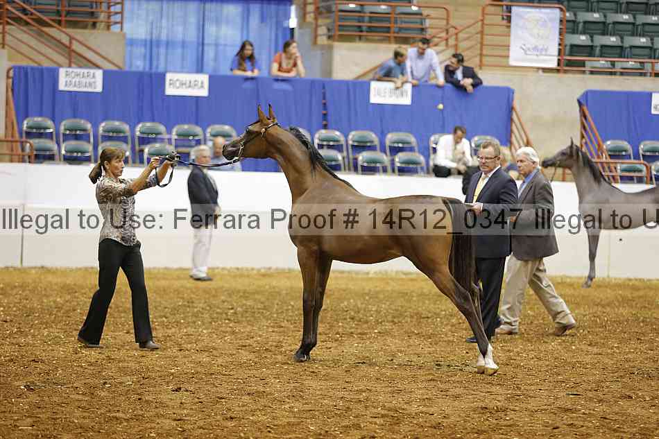 Proof 14r12_0347