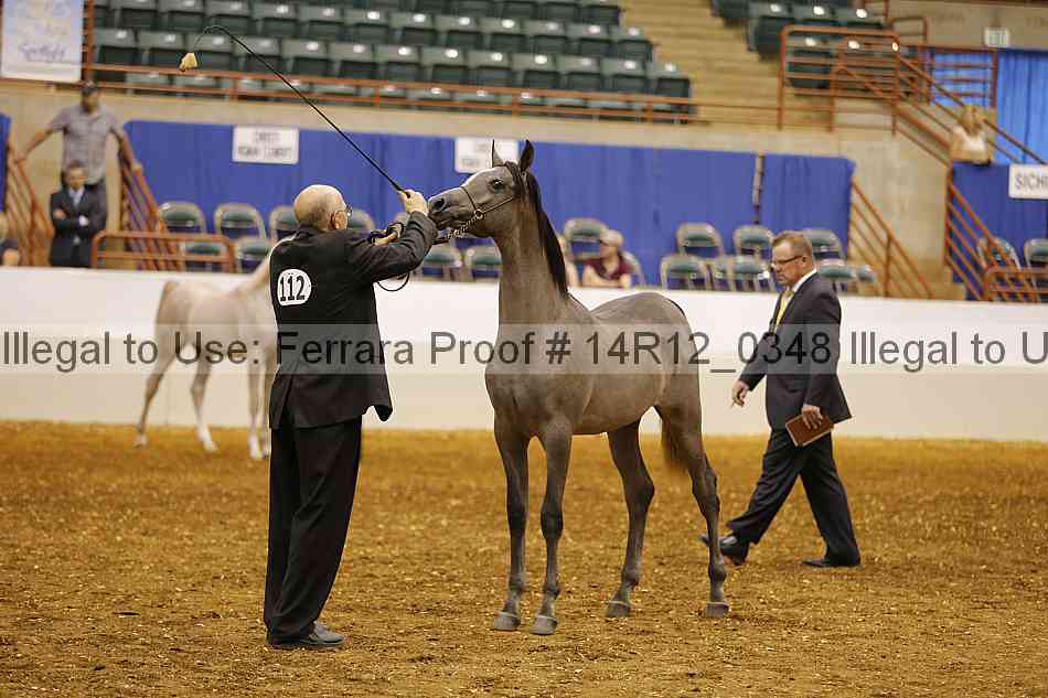 Proof 14r12_0348