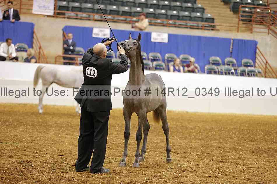 Proof 14r12_0349
