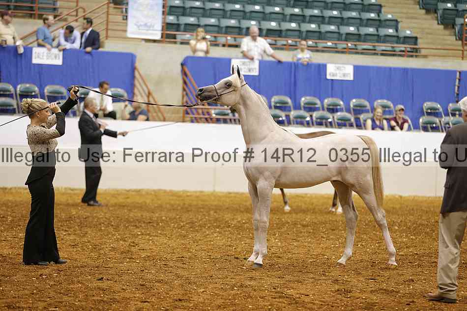 Proof 14r12_0355