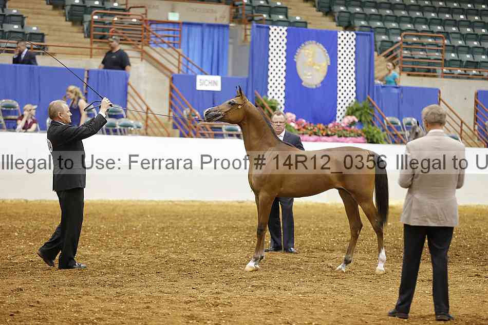 Proof 14r12_0356