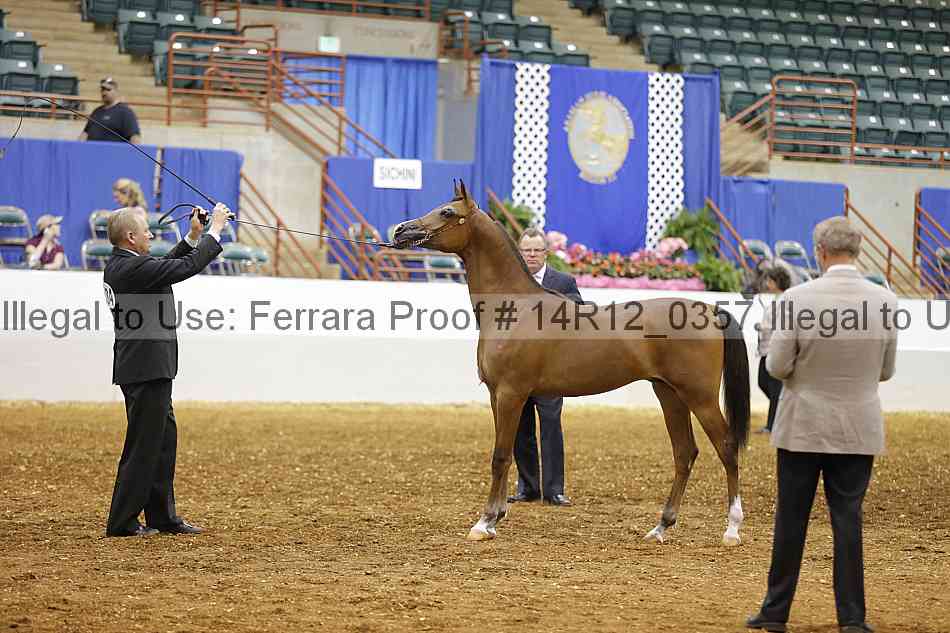 Proof 14r12_0357