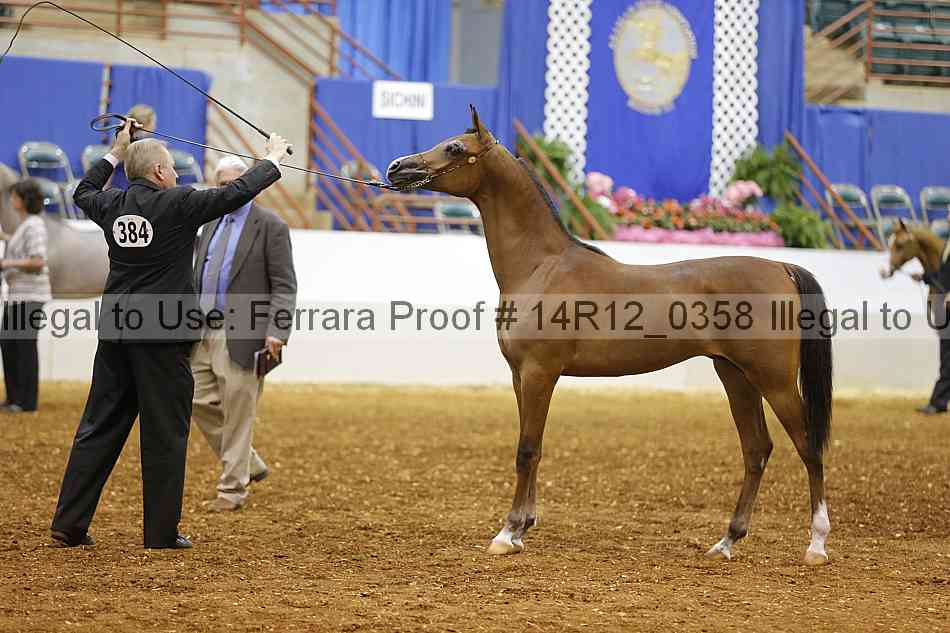 Proof 14r12_0358