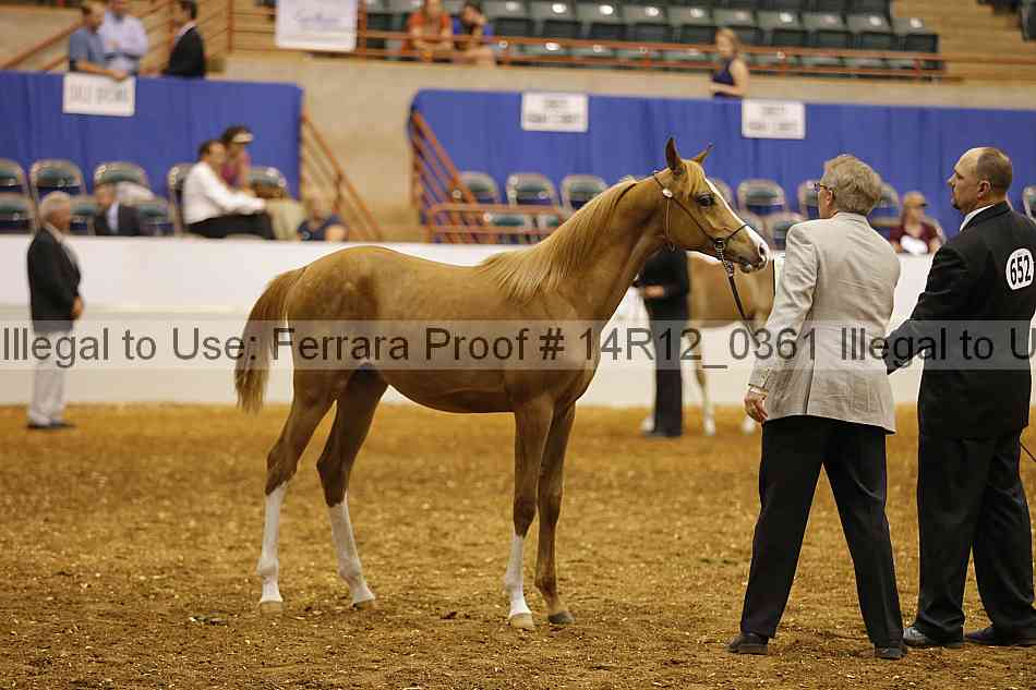 Proof 14r12_0361