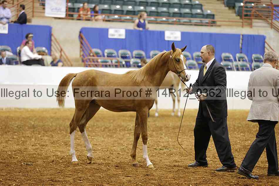 Proof 14r12_0362
