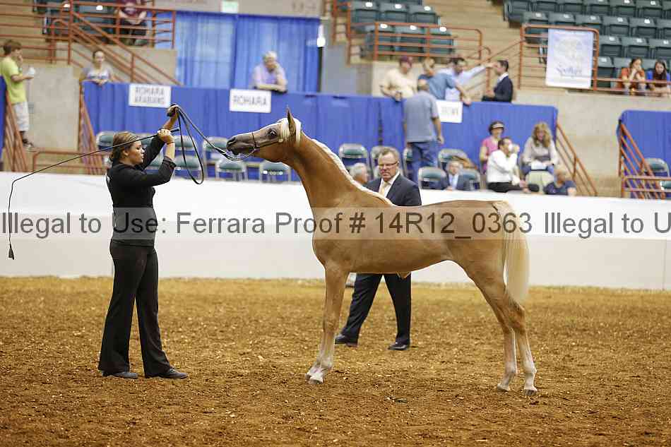 Proof 14r12_0363