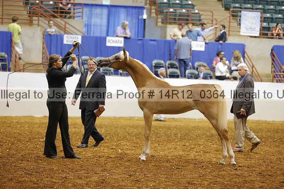 Proof 14r12_0364