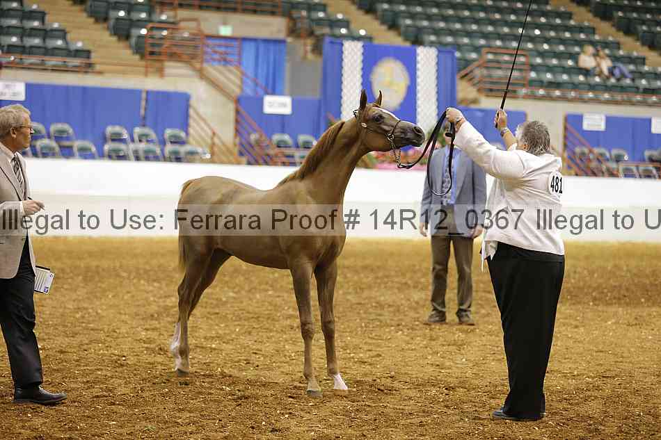 Proof 14r12_0367
