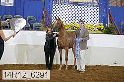 14r12_6291 proof