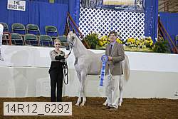 14r12_6292 proof