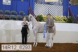 14r12_6293 proof