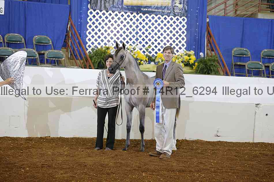 Proof 14r12_6294