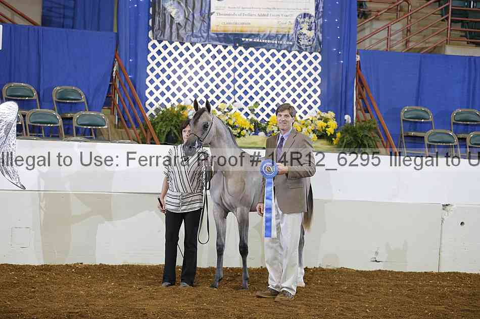 Proof 14r12_6295