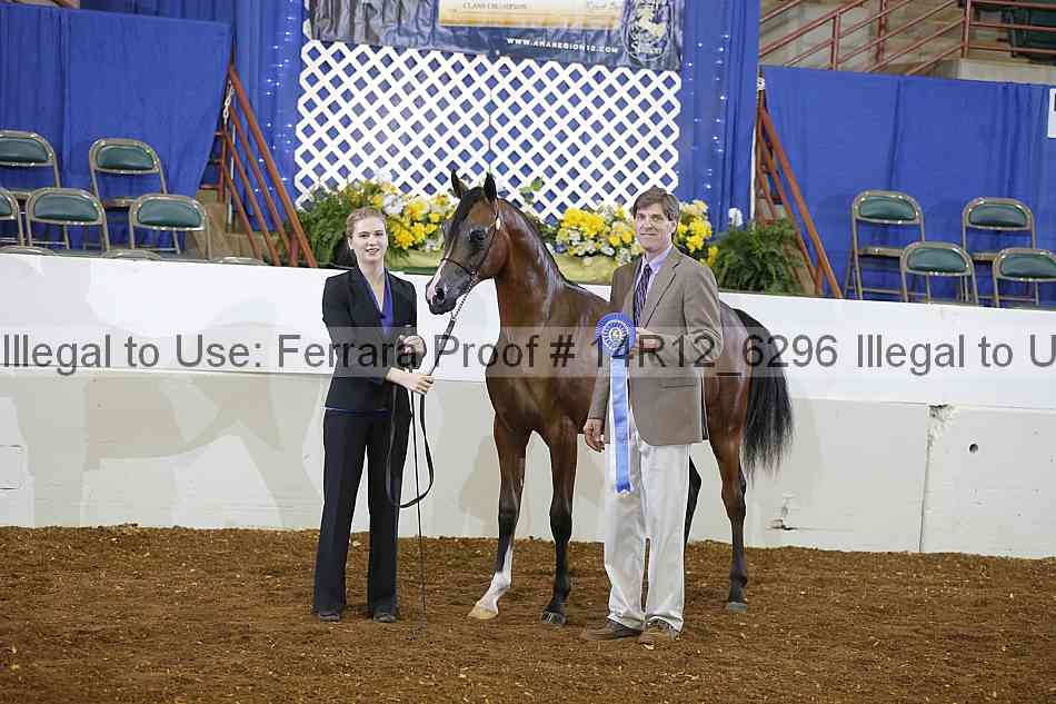Proof 14r12_6296
