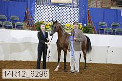 14r12_6296 proof