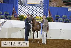 14r12_6297 proof
