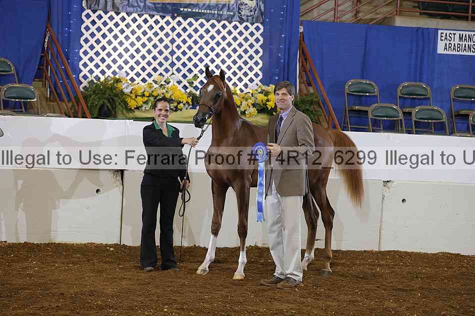 Proof 14r12_6299