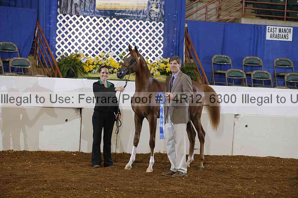 Proof 14r12_6300