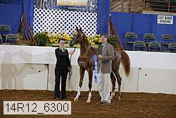 14r12_6300 proof