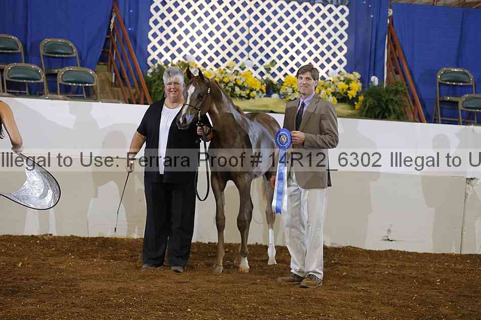 Proof 14r12_6302