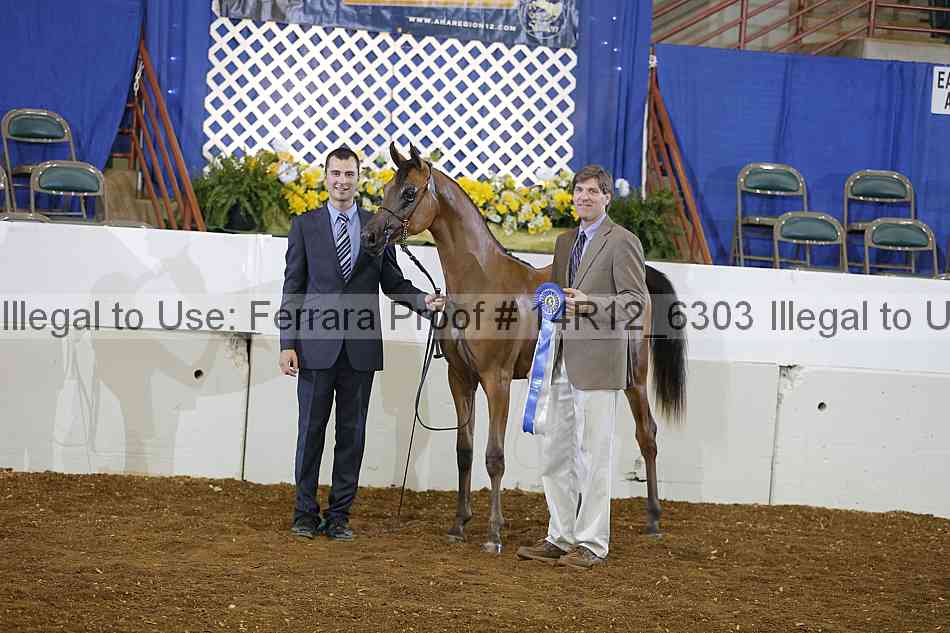 Proof 14r12_6303