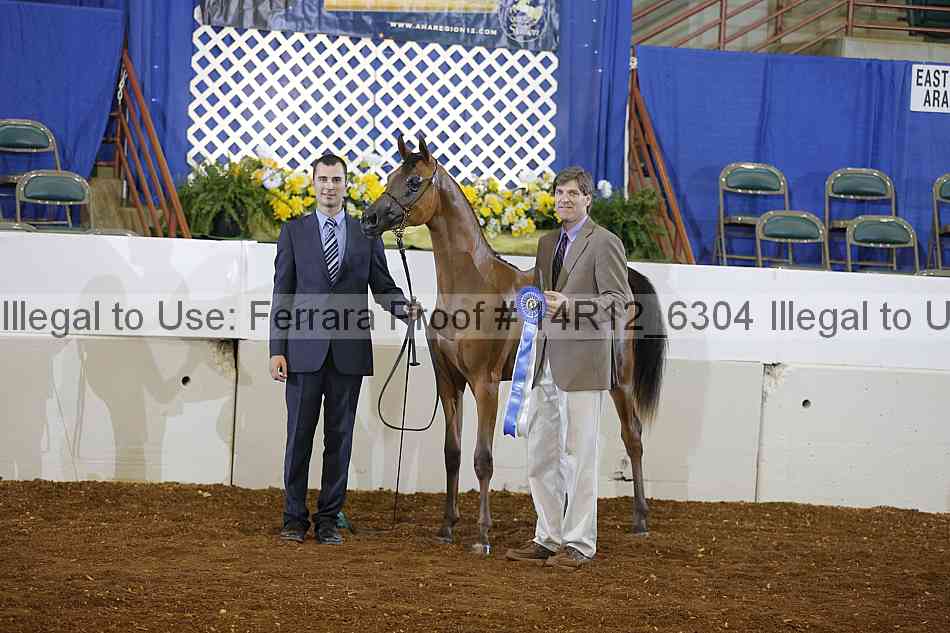 Proof 14r12_6304