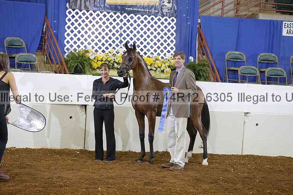 Proof 14r12_6305