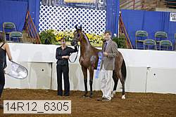 14r12_6305 proof