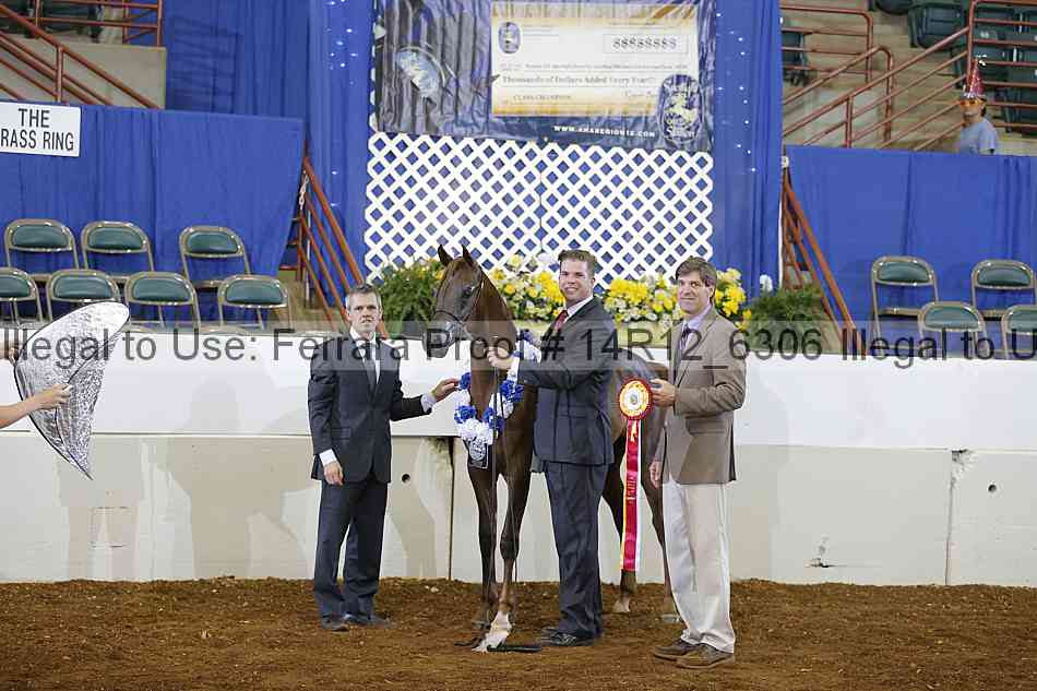 Proof 14r12_6306