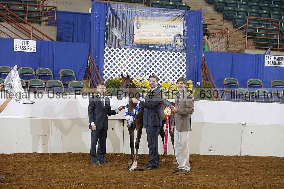 Proof 14r12_6307