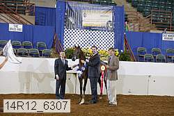 14r12_6307 proof