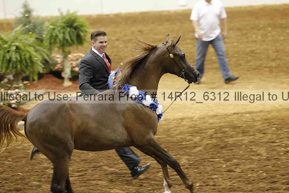 Proof 14r12_6312