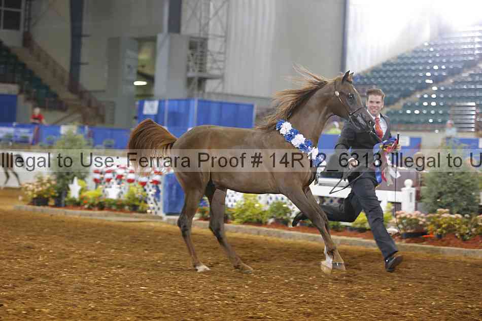 Proof 14r12_6313