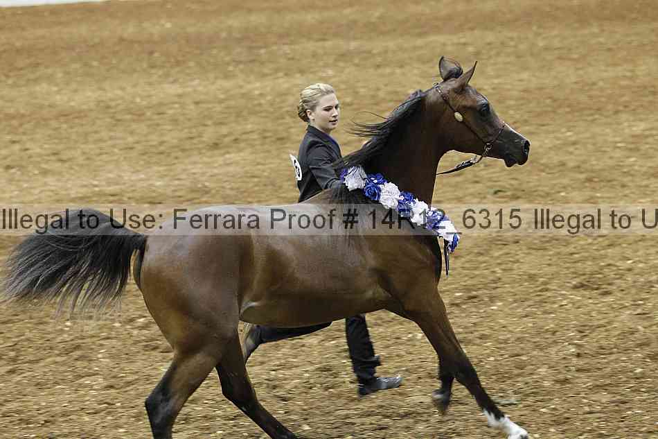 Proof 14r12_6315