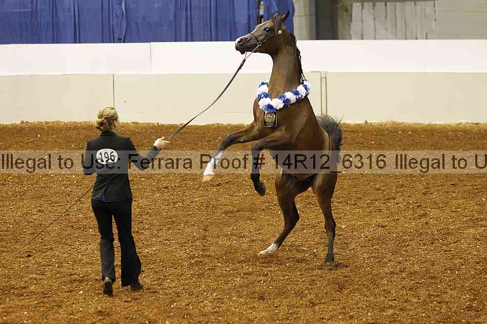 Proof 14r12_6316