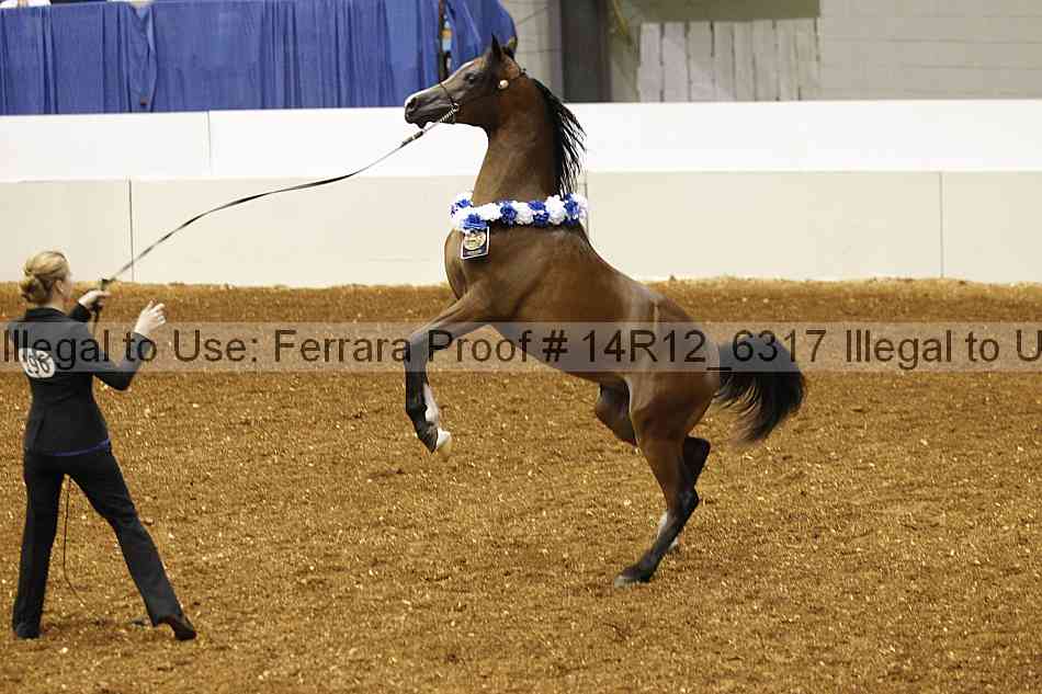 Proof 14r12_6317