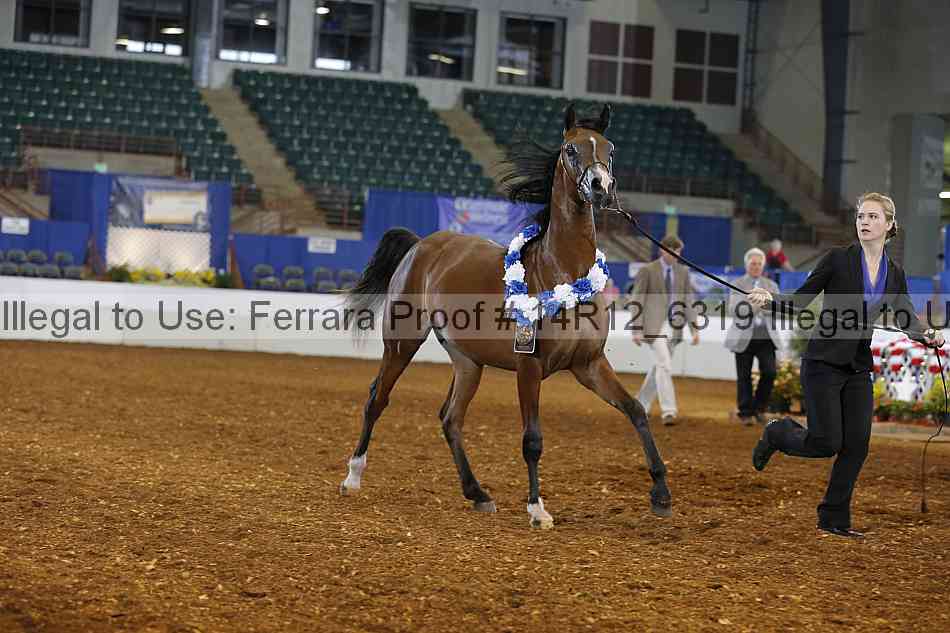 Proof 14r12_6319