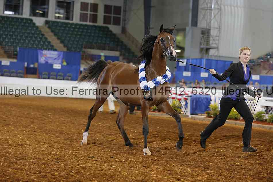 Proof 14r12_6320