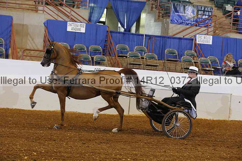 Proof 14r12_0372