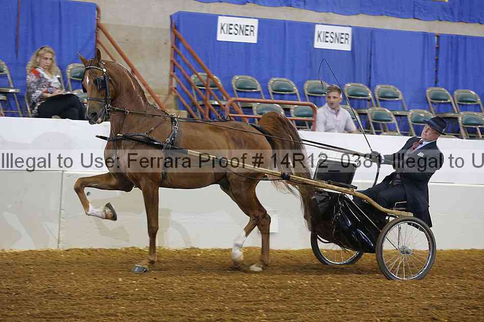 Proof 14r12_0381